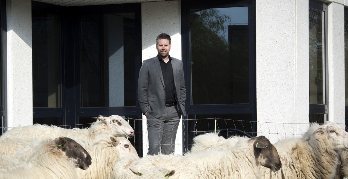AB - Interview - Polteq - Alain Bultink - bij schapen